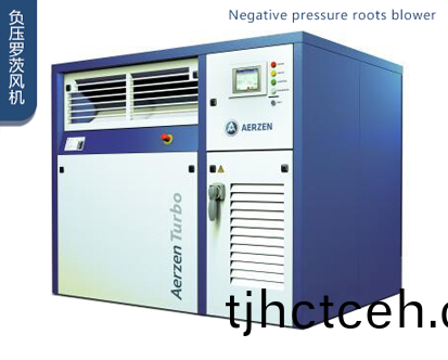 負(fù)壓儸茨風(fēng)機(jī)